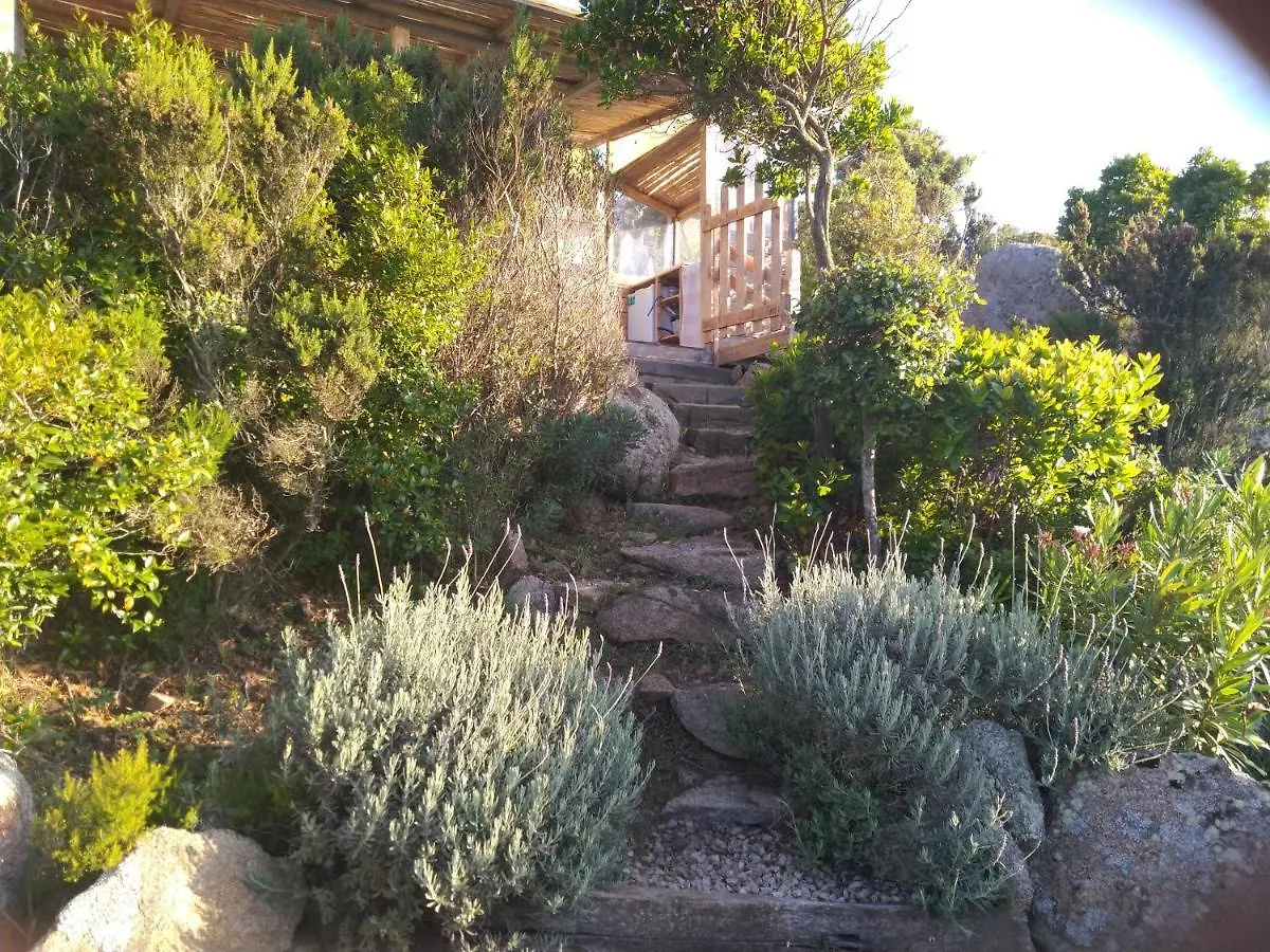 La Cera Farm Camping B&B Santa Teresa Gallura