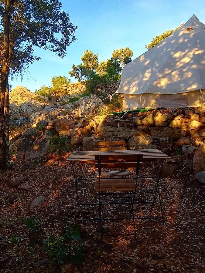 La Cera Farm Camping B&B Santa Teresa Gallura