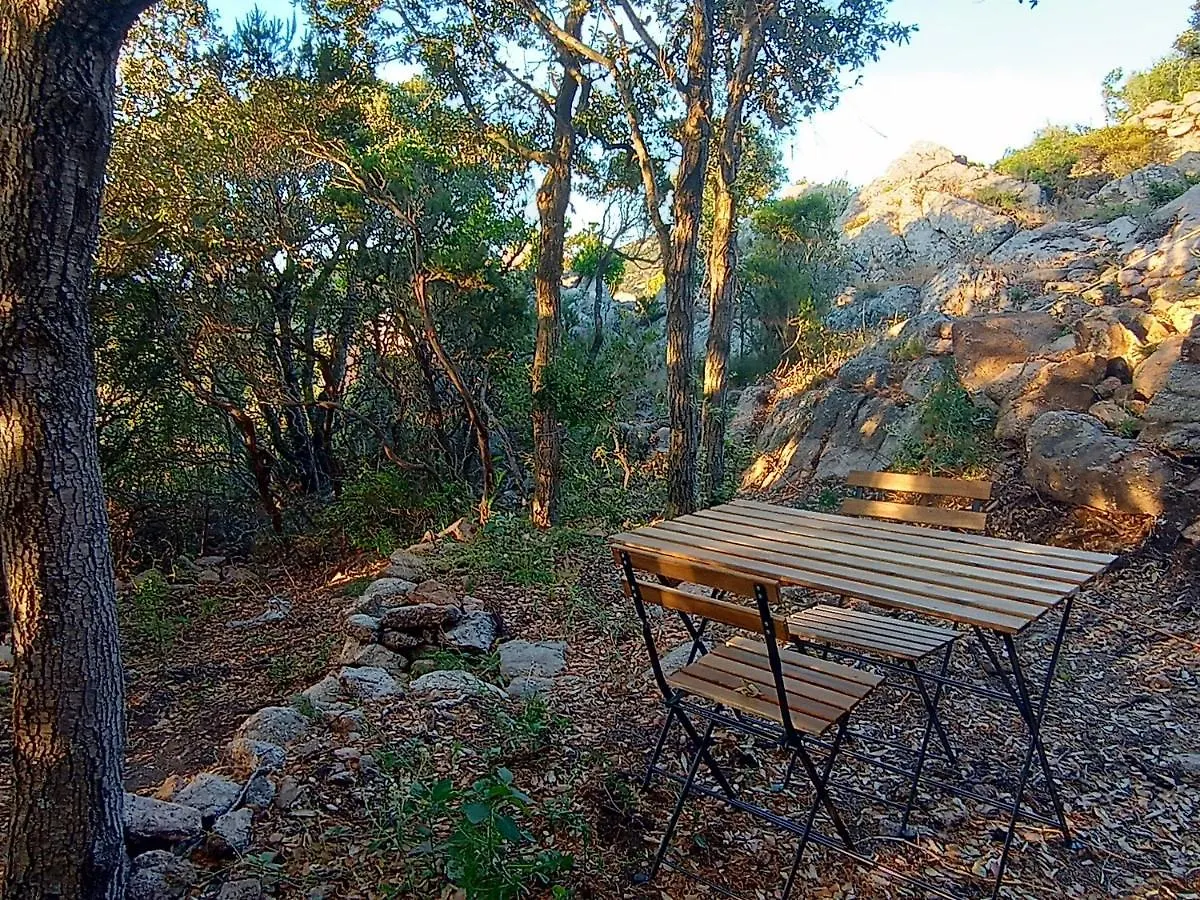 La Cera Farm Camping B&B Santa Teresa Gallura