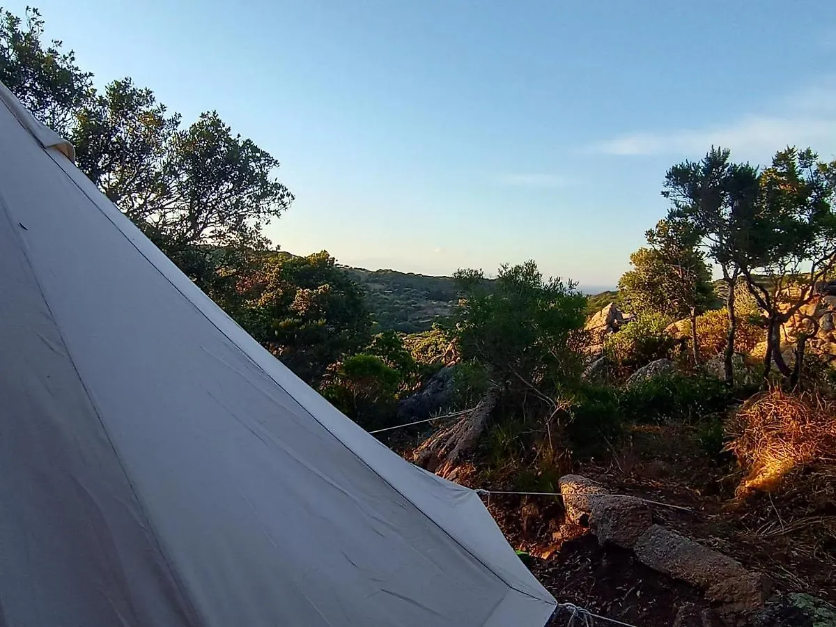 La Cera Farm Camping B&B Santa Teresa Gallura