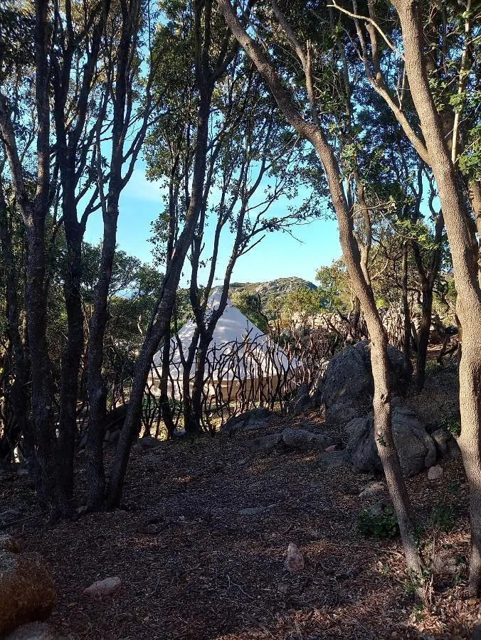 La Cera Farm Camping B&B Santa Teresa di Gallura Campeggio
