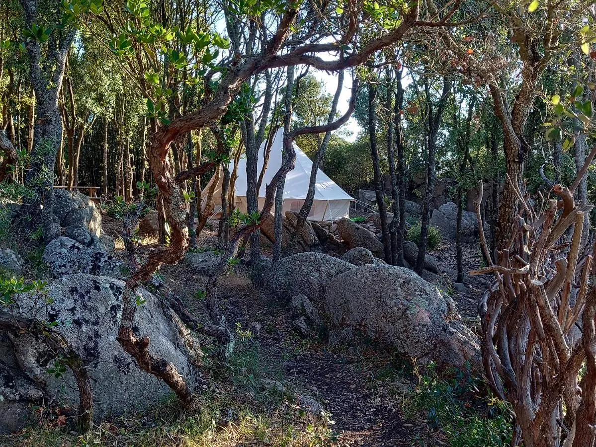 La Cera Farm Camping B&B Santa Teresa Gallura Campsite