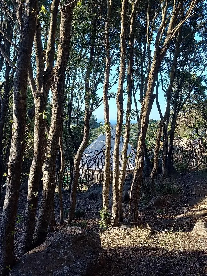 Campeggio La Cera Farm Camping B&B Santa Teresa di Gallura Italia