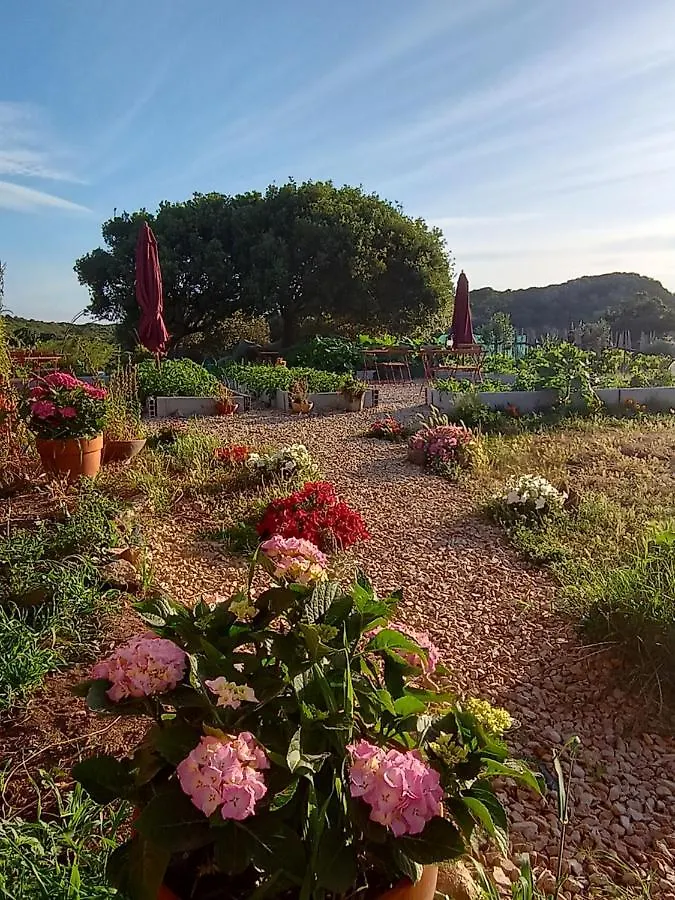La Cera Farm Camping B&B Santa Teresa Gallura