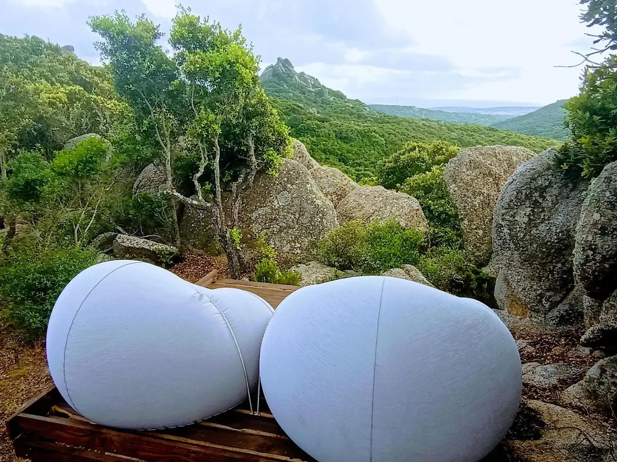 La Cera Farm Camping B&B Santa Teresa Gallura