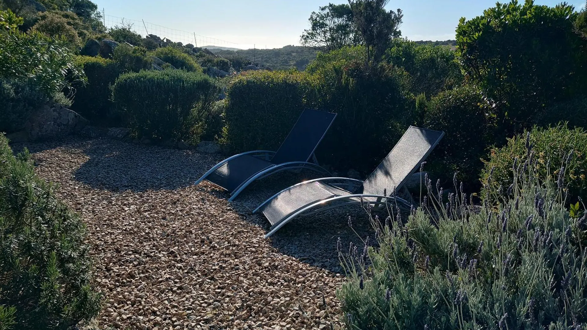La Cera Farm Camping B&B Santa Teresa Gallura