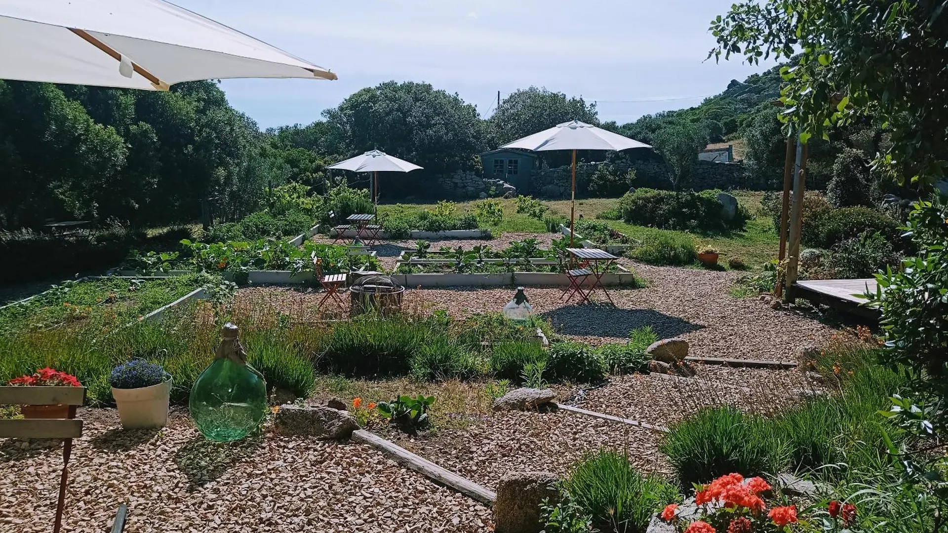 La Cera Farm Camping B&B Santa Teresa Gallura Campsite