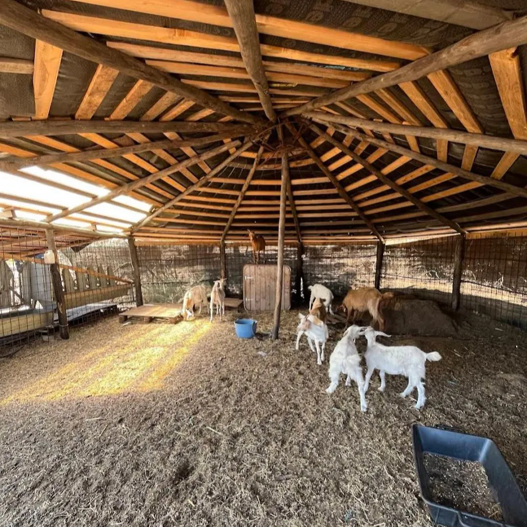 La Cera Farm Camping B&B Santa Teresa Gallura