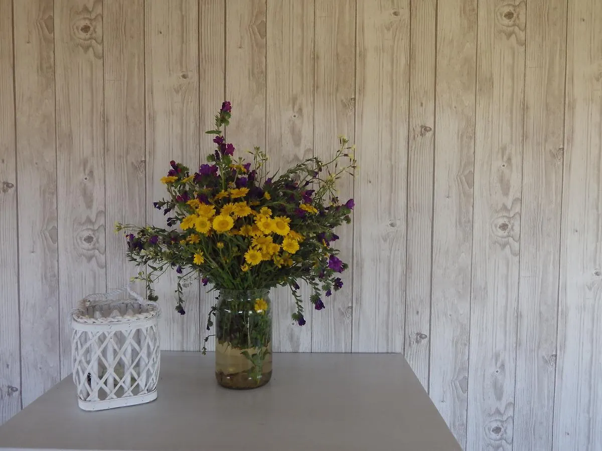 La Cera Farm Camping B&B Santa Teresa di Gallura