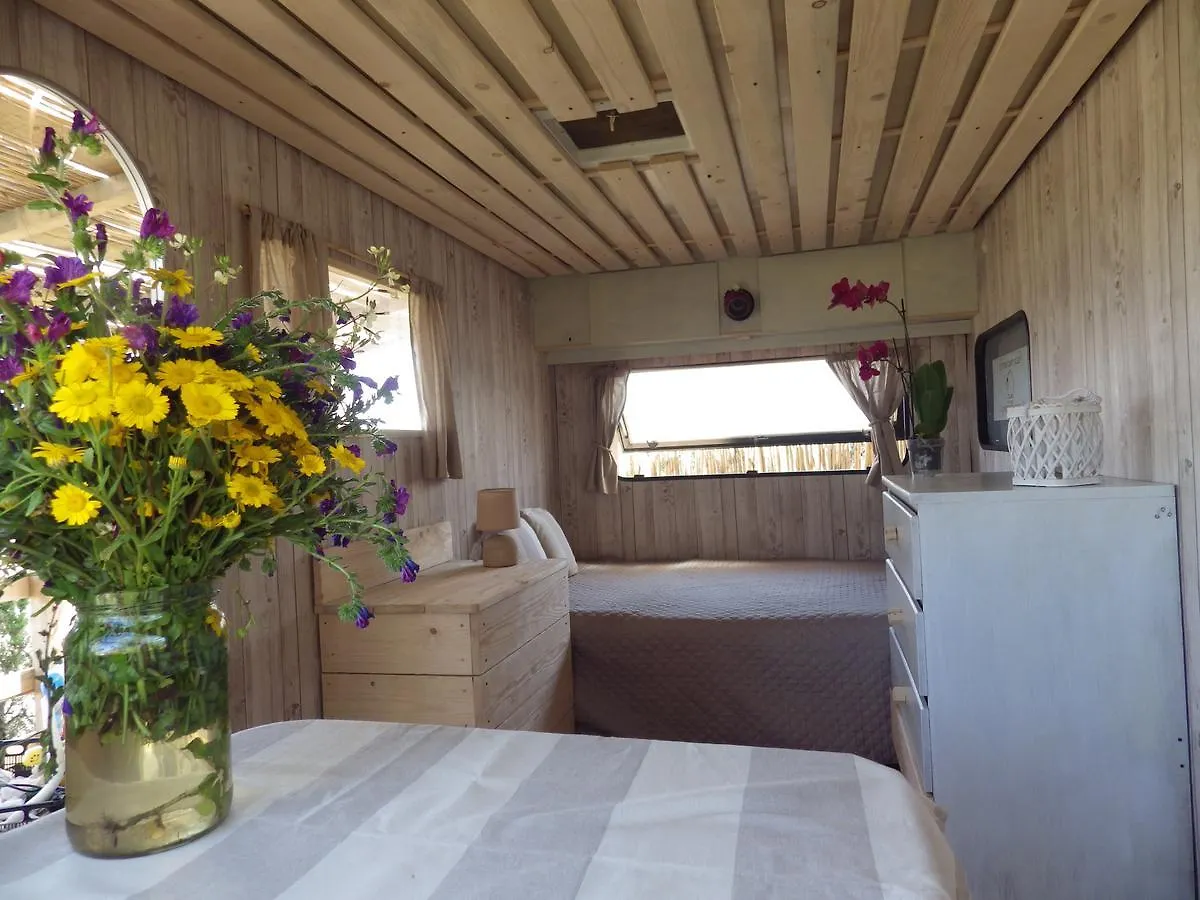 La Cera Farm Camping B&B Santa Teresa Gallura