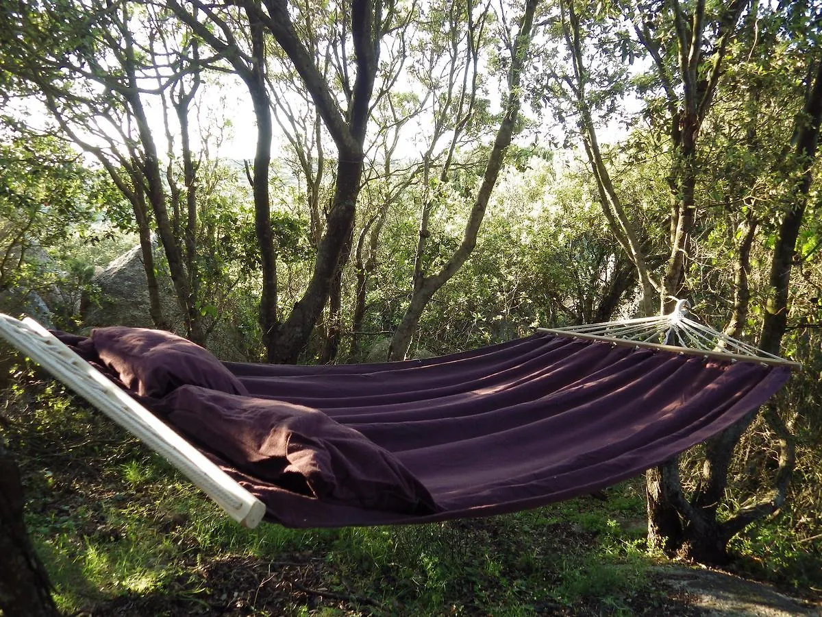 La Cera Farm Camping B&B Santa Teresa Gallura