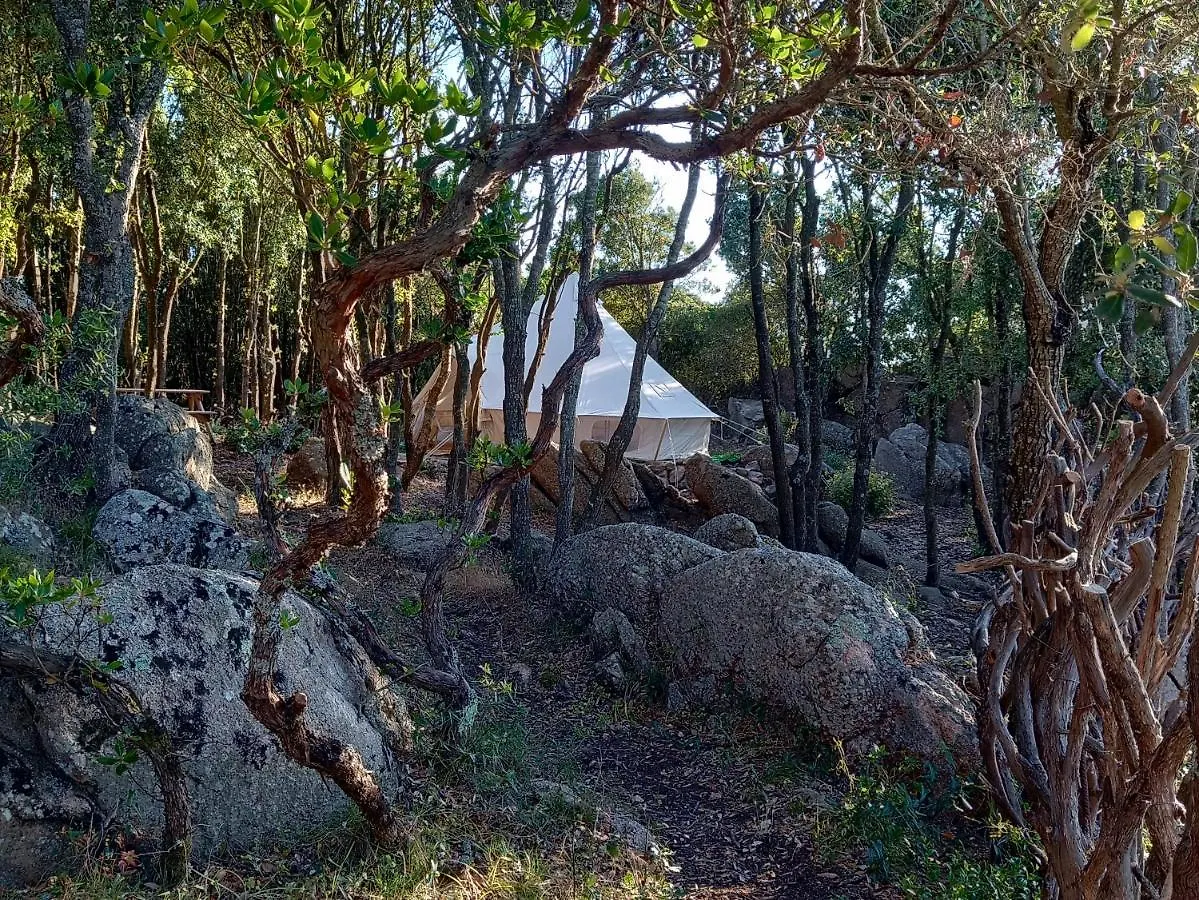 La Cera Farm Camping B&B Santa Teresa Gallura Campsite