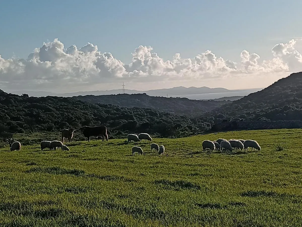 La Cera Farm Camping B&B Santa Teresa Gallura